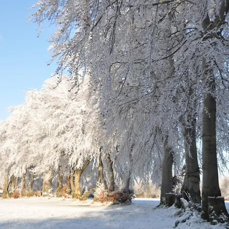 Eifellodge Apartment *