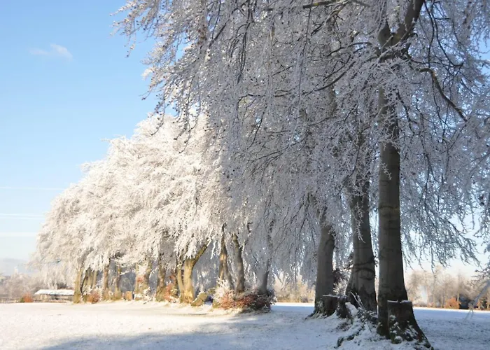 Eifellodge Appartamento *