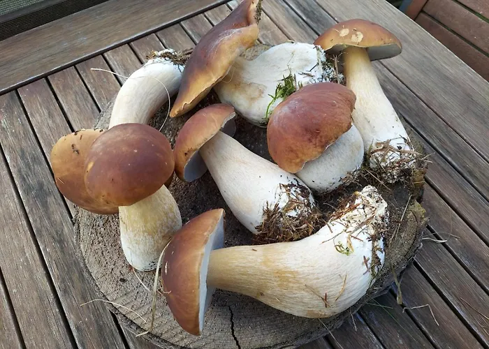 Appartamento Eifellodge *